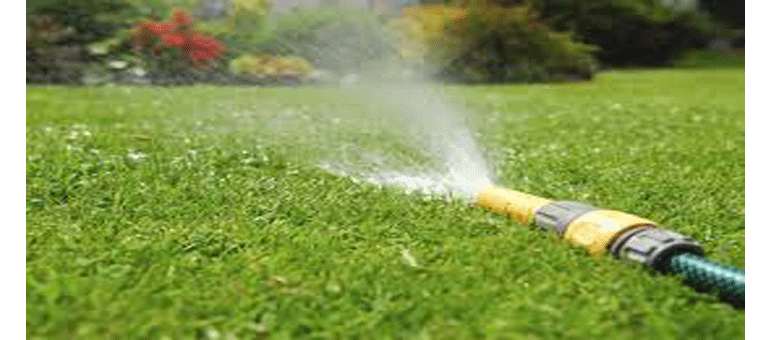 Monsoon Watering Tips – Advice from the City of Phoenix